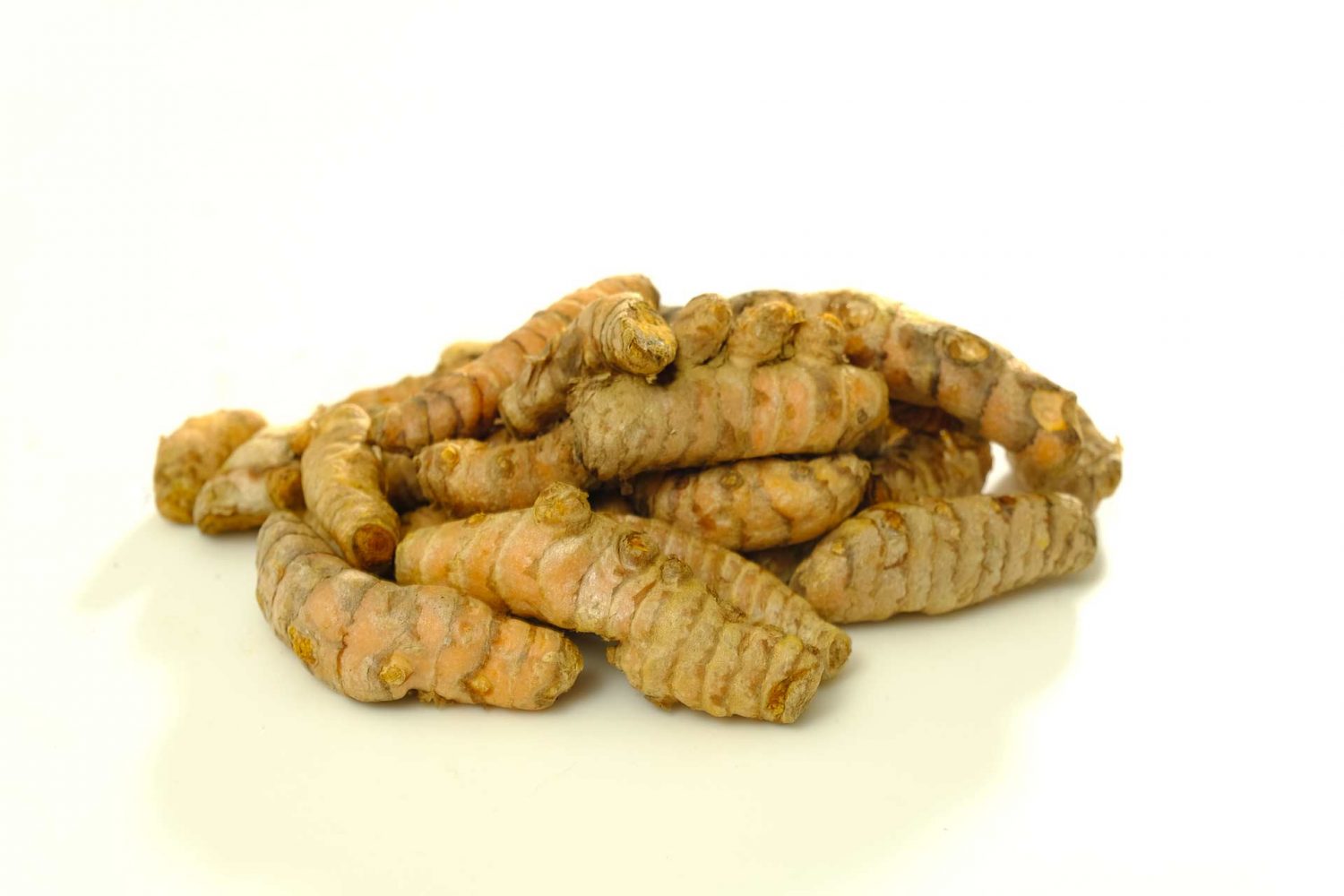 The Lyme Light Information about Lyme Disease on how I beat it