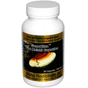 Treatment for cancer reishi mushroom